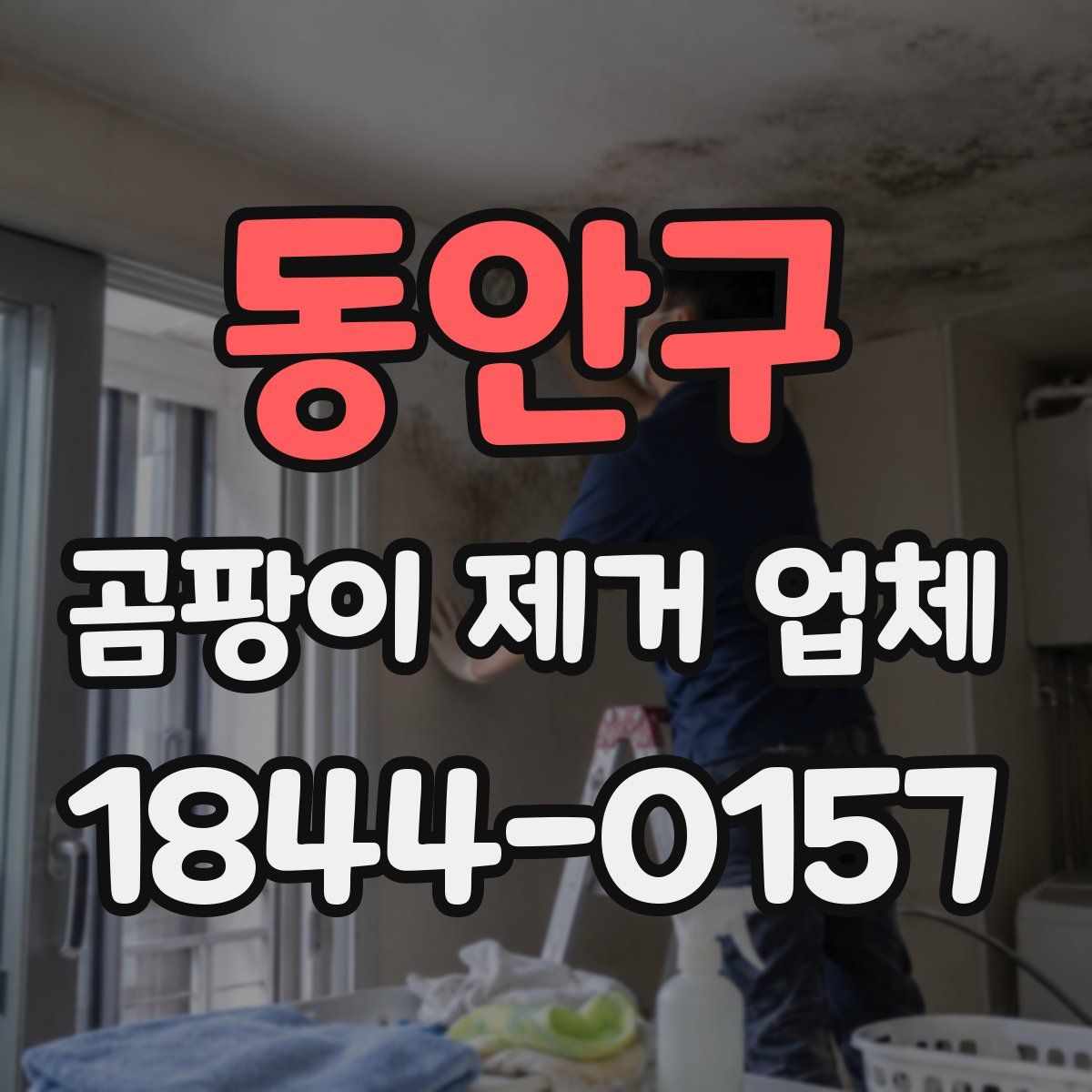 동안구 곰팡이 제거 업체