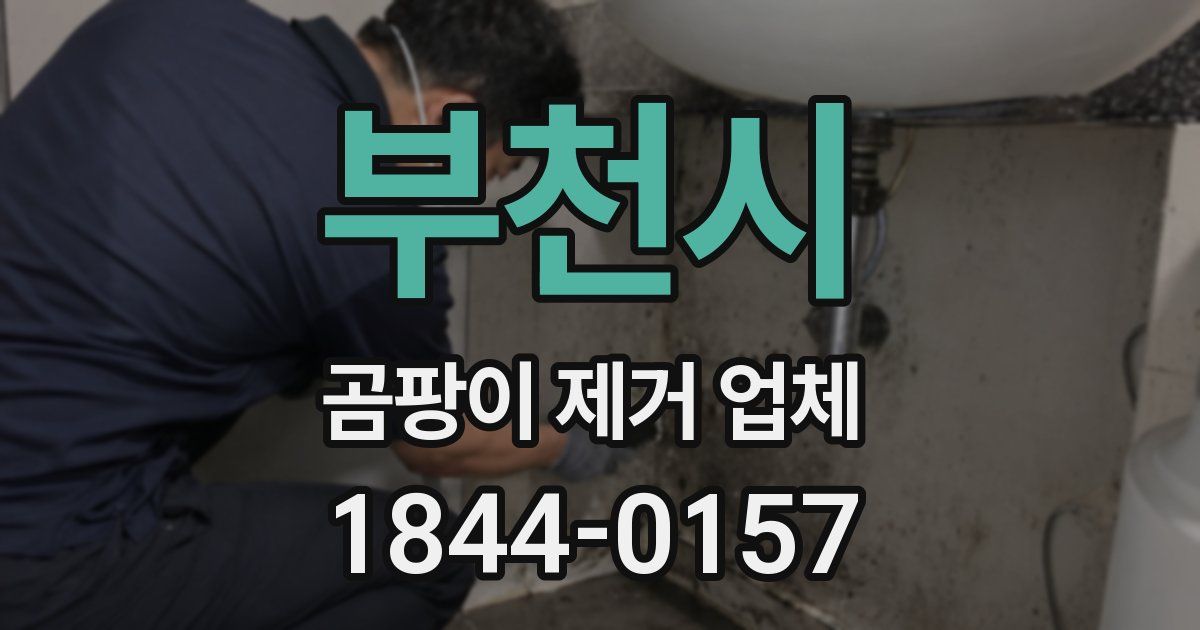 부천시 곰팡이 제거 업체