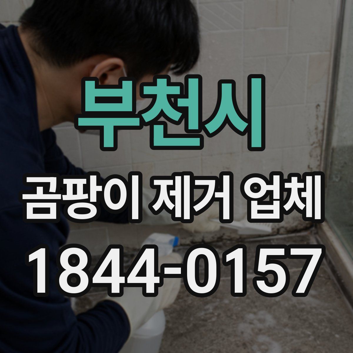 부천시 곰팡이 제거 업체