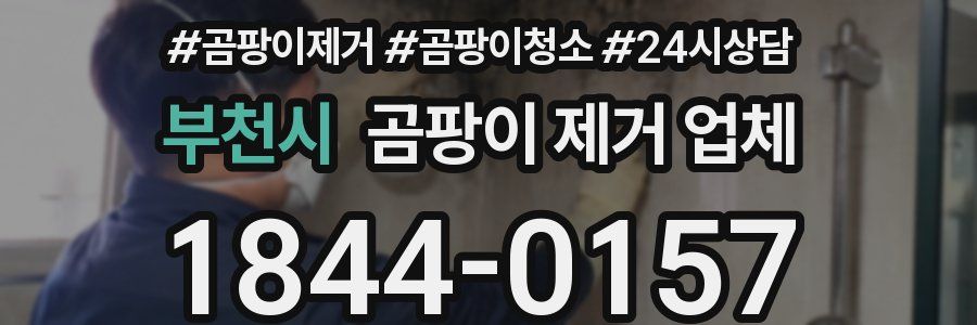 부천시 곰팡이 제거 업체