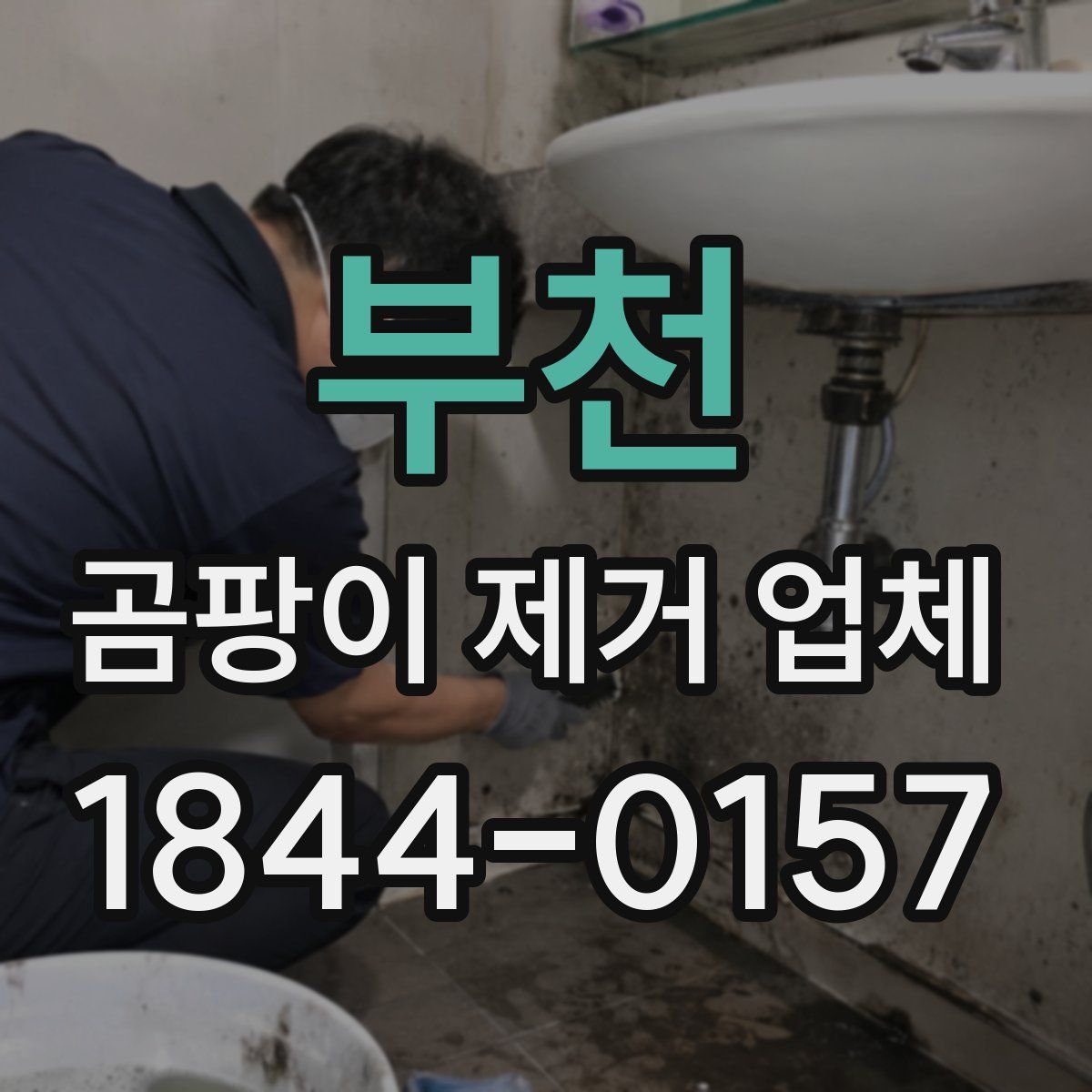 부천 곰팡이 제거 업체