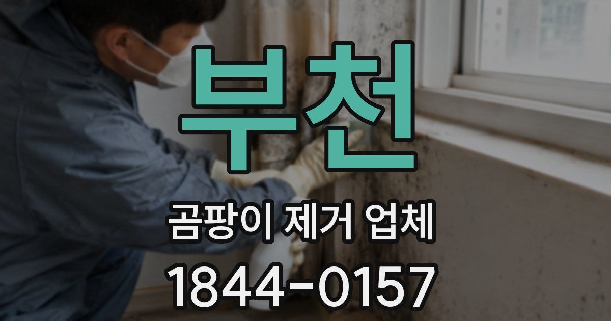 부천 곰팡이 제거 업체