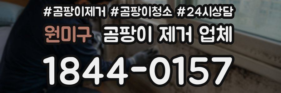 원미구 곰팡이 제거 업체