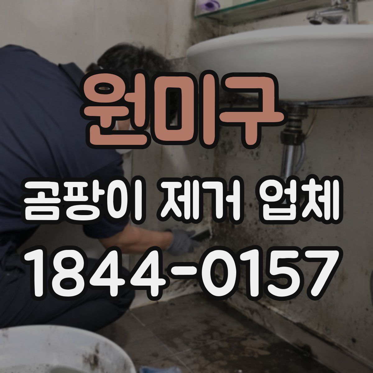 원미구 곰팡이 제거 업체