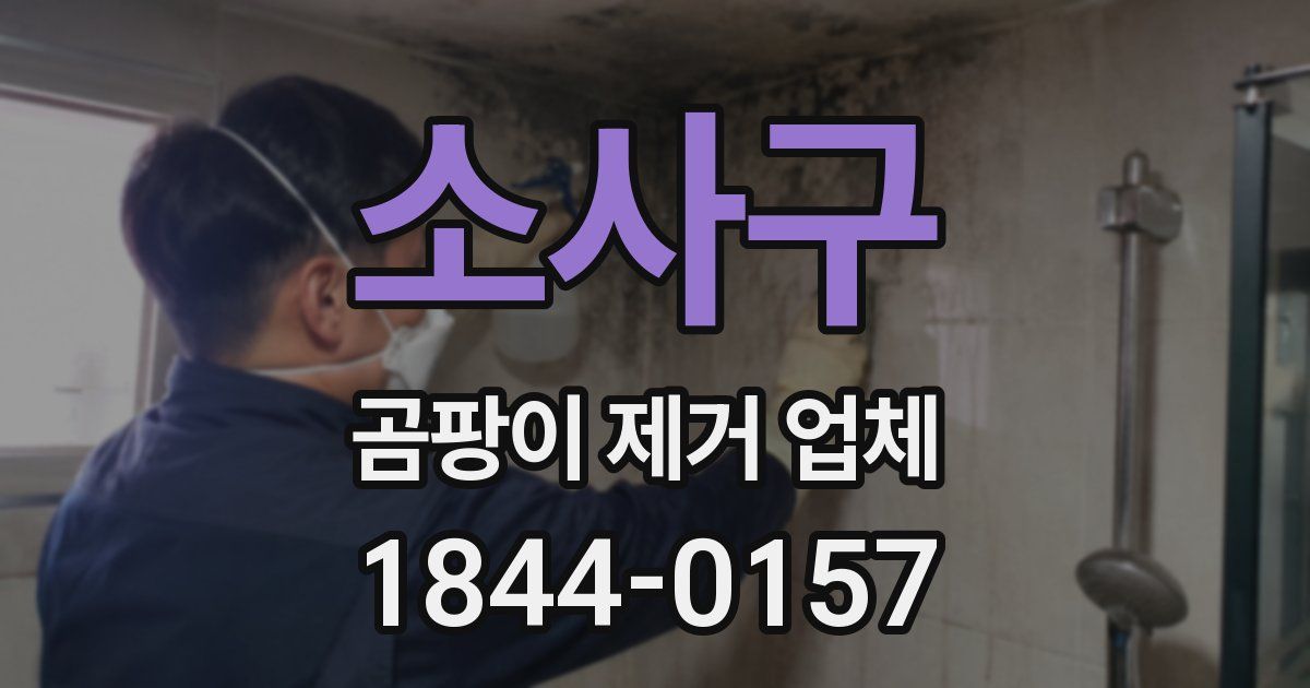 소사구 곰팡이 제거 업체
