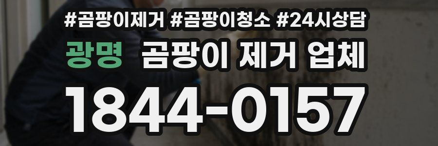 광명 곰팡이 제거 업체