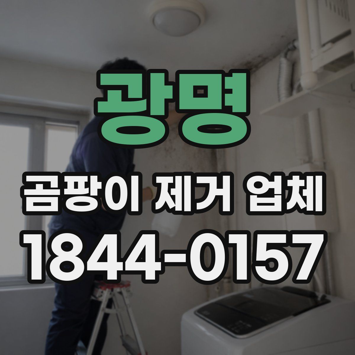 광명 곰팡이 제거 업체