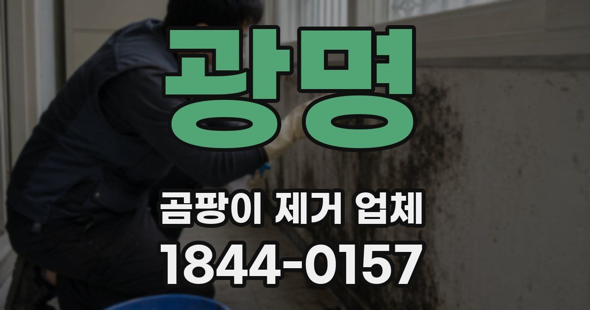 광명 곰팡이 제거 업체