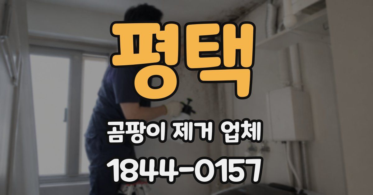 평택 곰팡이 제거 업체