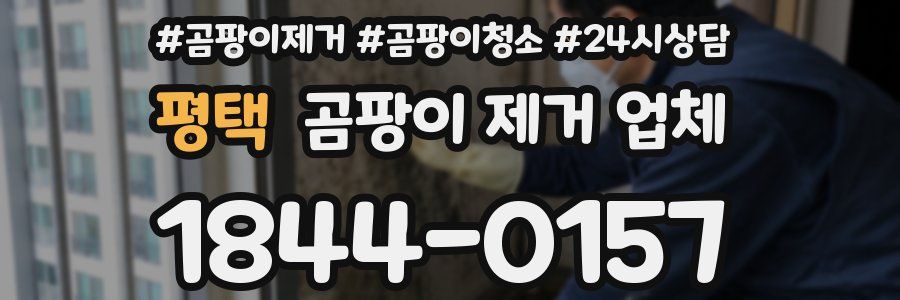 평택 곰팡이 제거 업체
