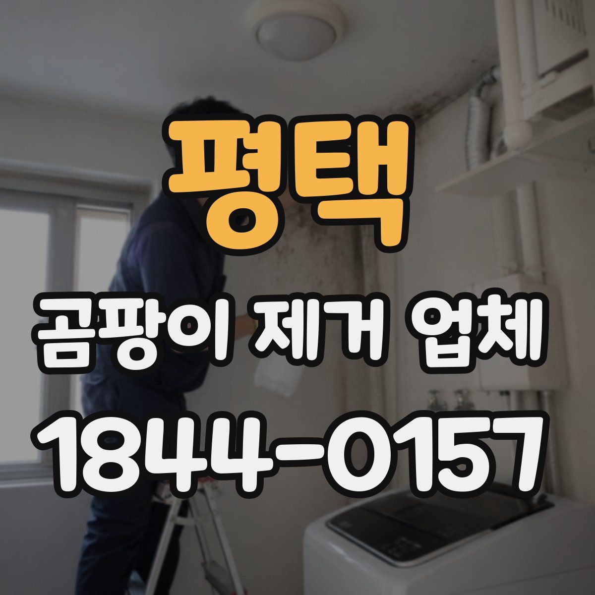 평택 곰팡이 제거 업체