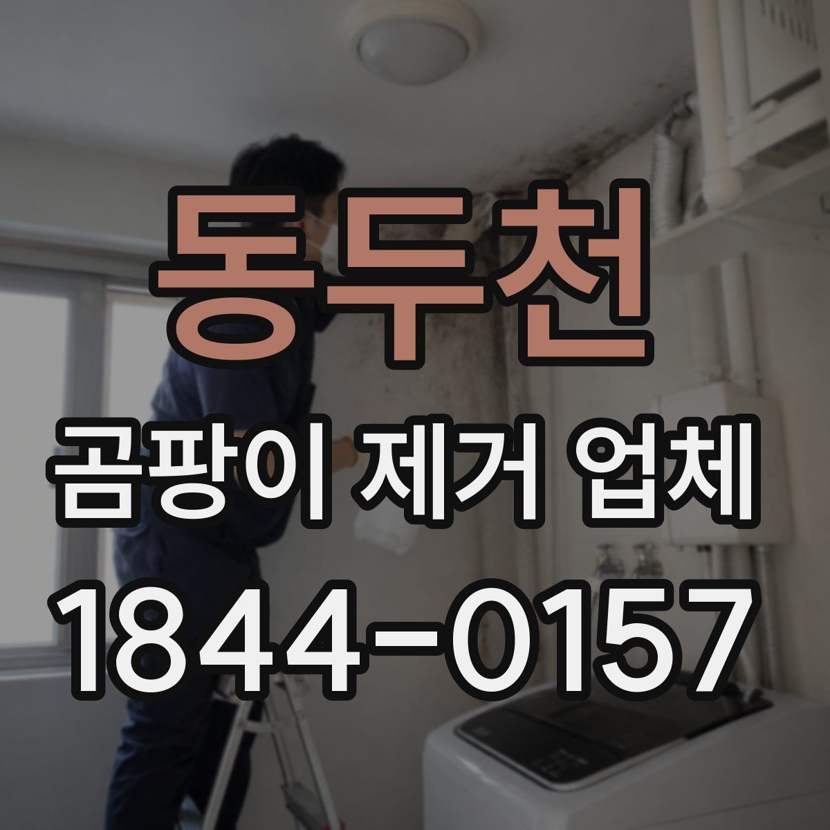 동두천 곰팡이 제거 업체