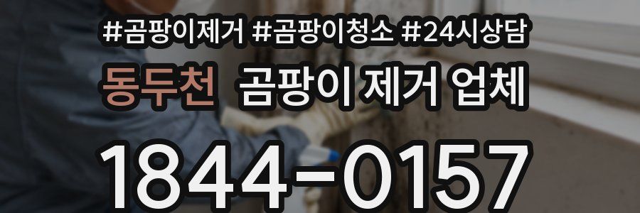 동두천 곰팡이 제거 업체