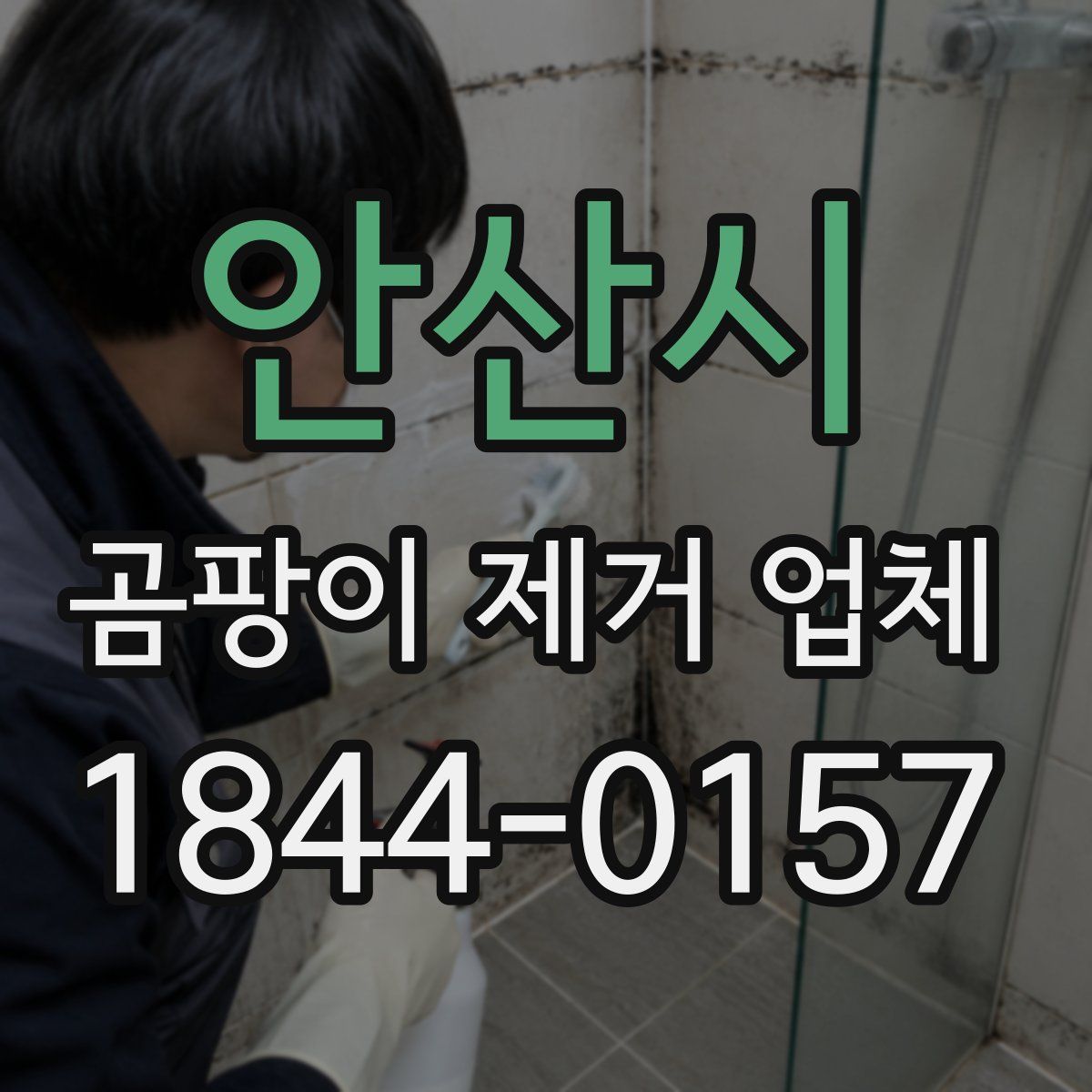 안산시 곰팡이 제거 업체