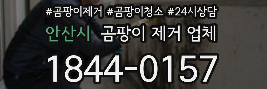안산시 곰팡이 제거 업체