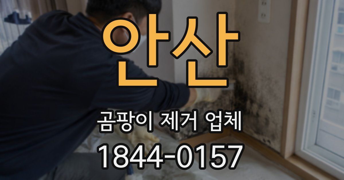 안산 곰팡이 제거 업체