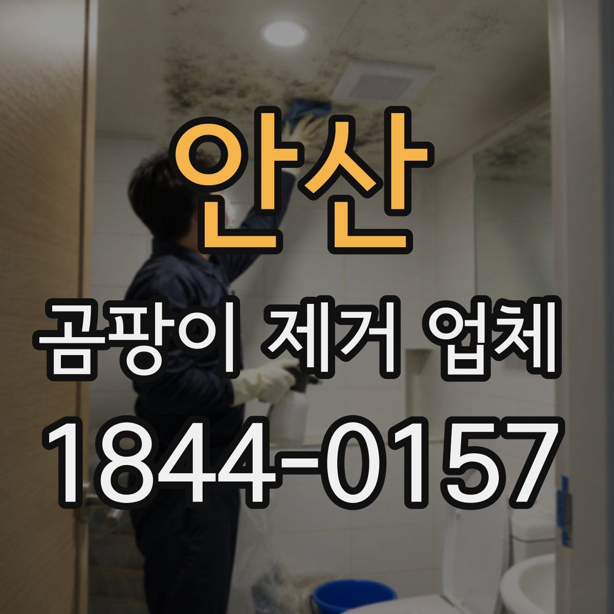 안산 곰팡이 제거 업체