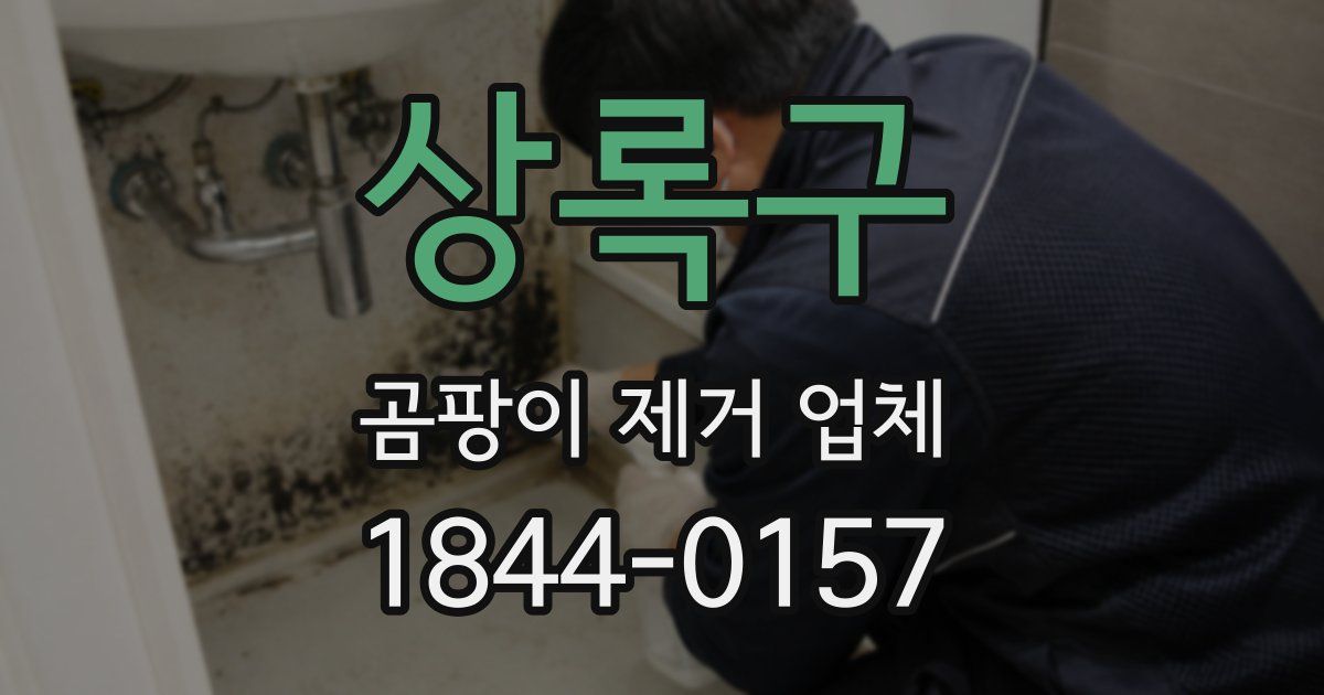 상록구 곰팡이 제거 업체