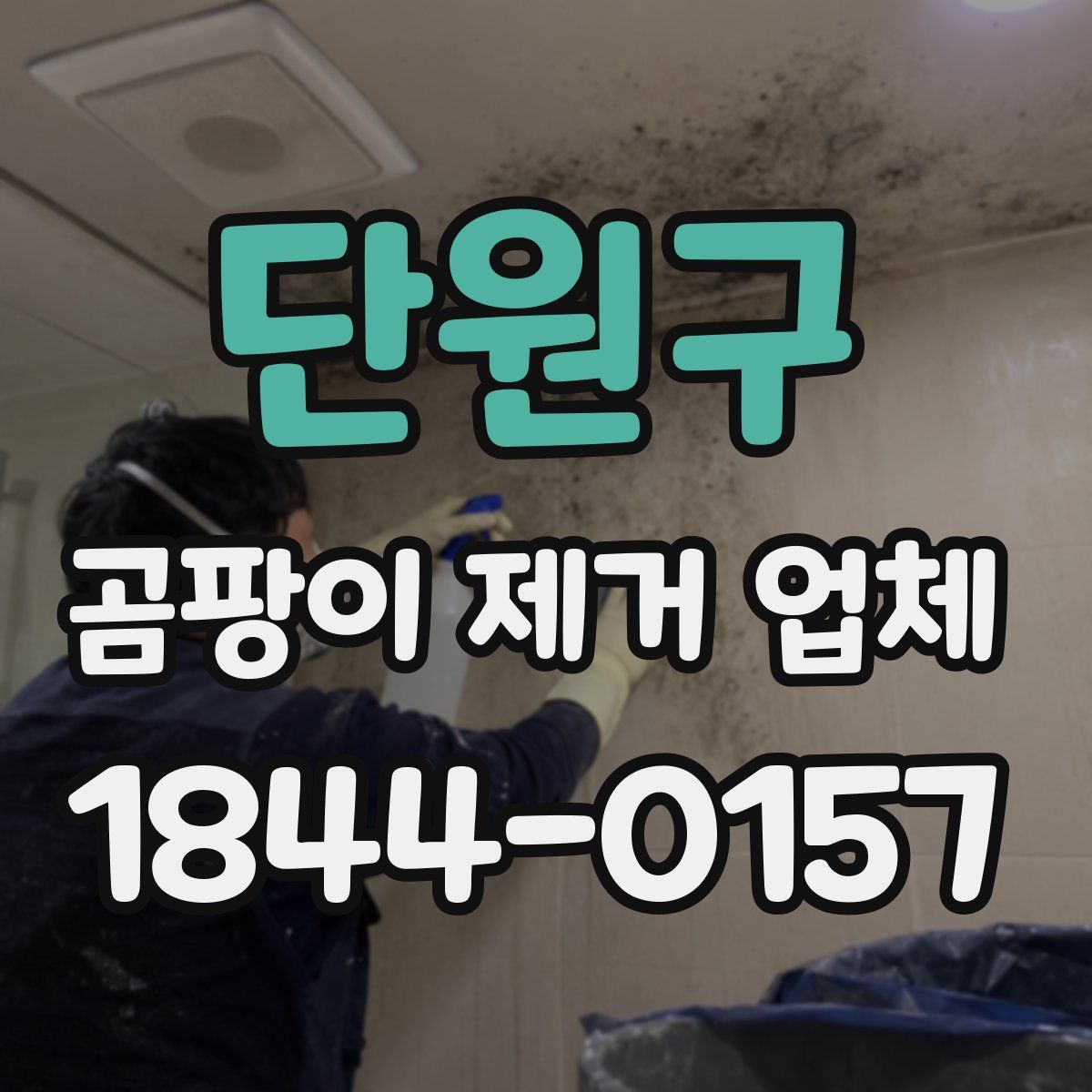 단원구 곰팡이 제거 업체