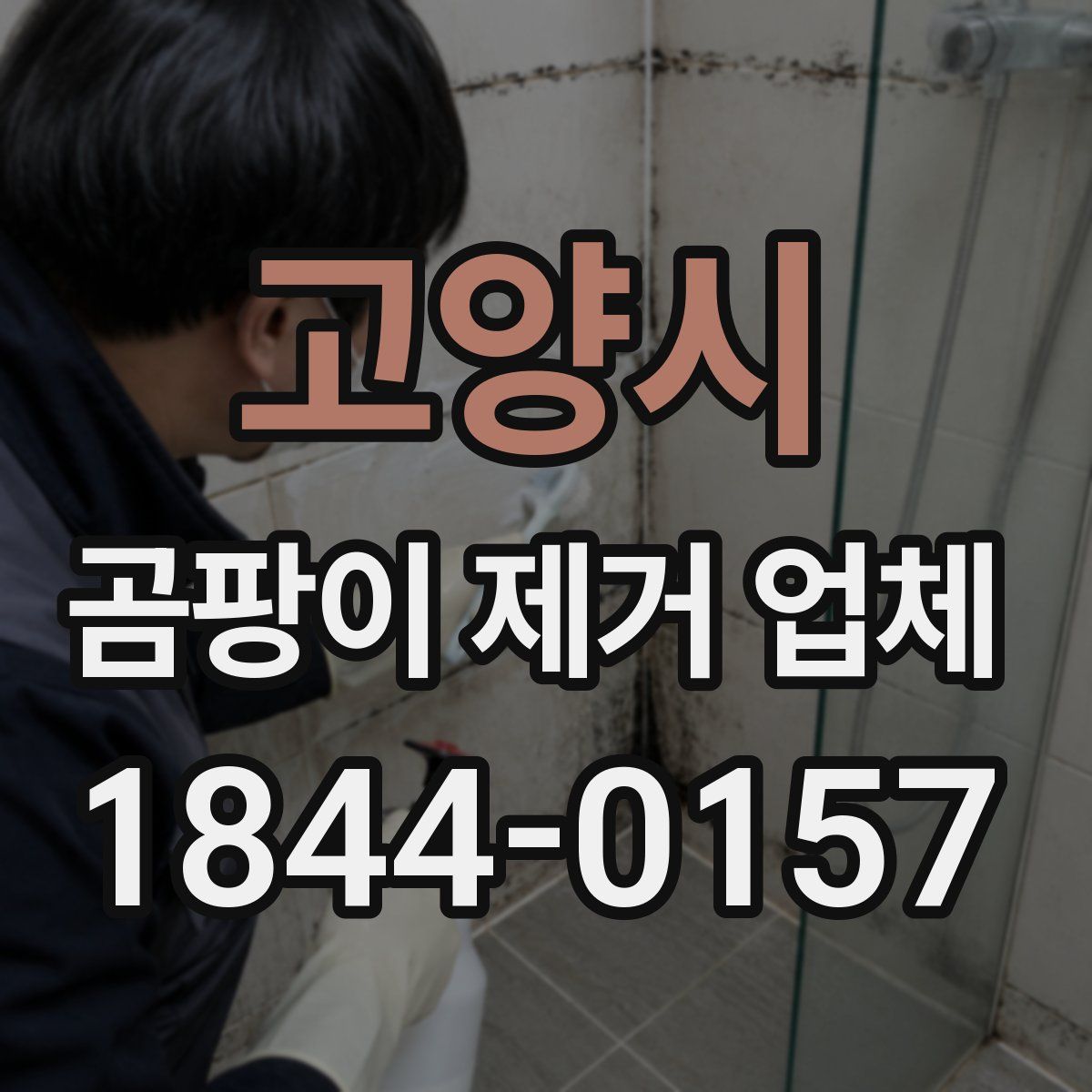 고양시 곰팡이 제거 업체