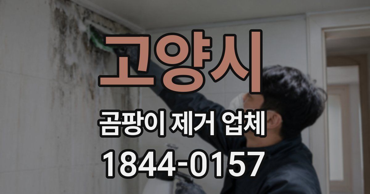 고양시 곰팡이 제거 업체