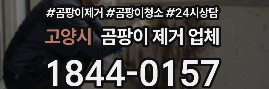 고양시 곰팡이 제거 업체