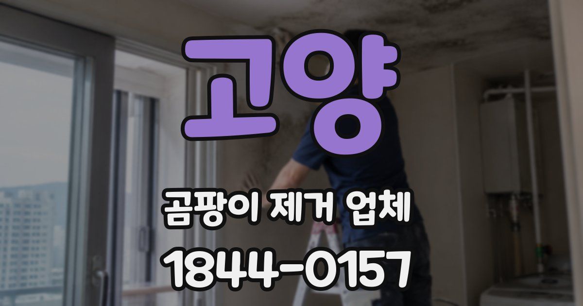 고양 곰팡이 제거 업체