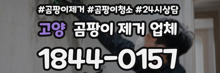 고양 곰팡이 제거 업체