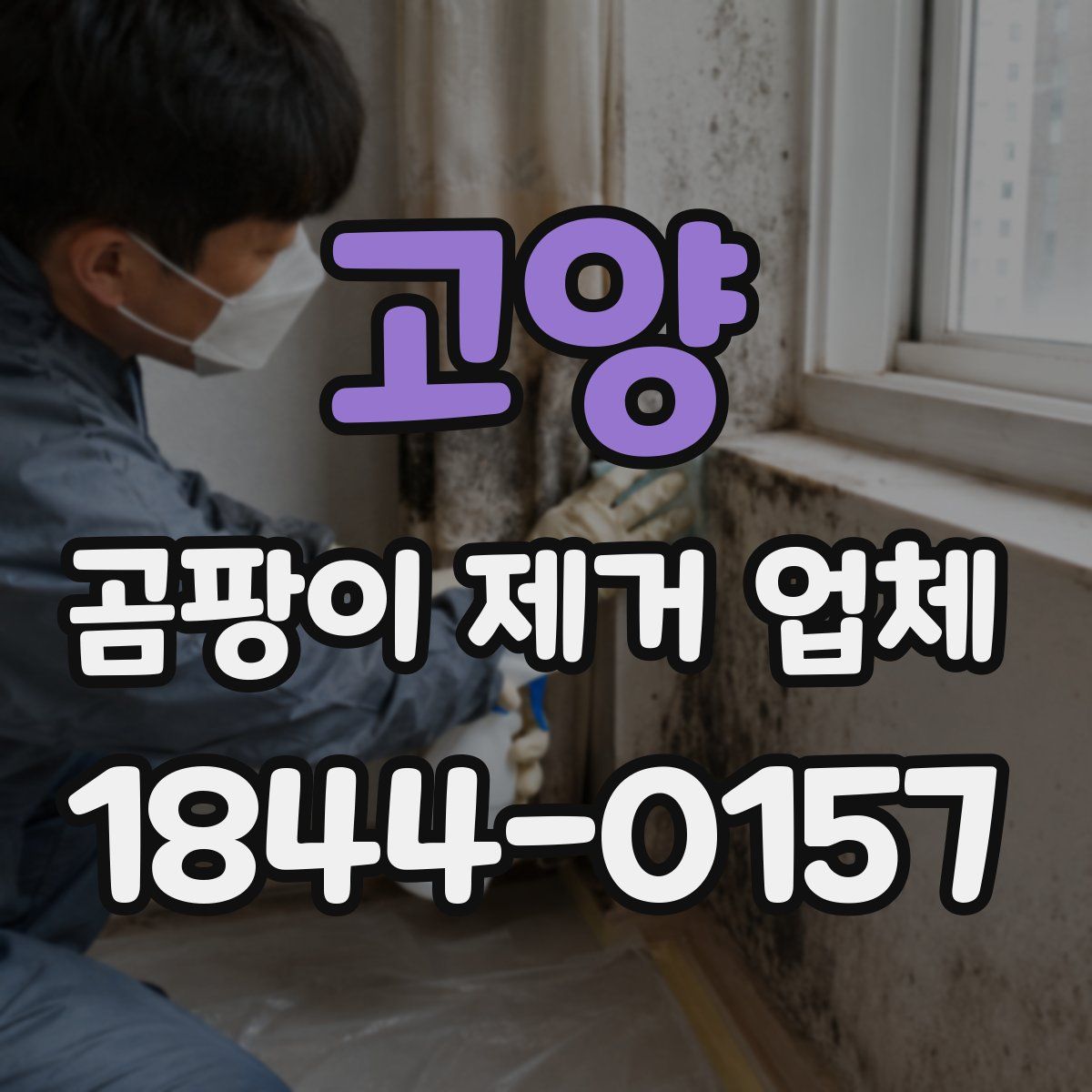 고양 곰팡이 제거 업체