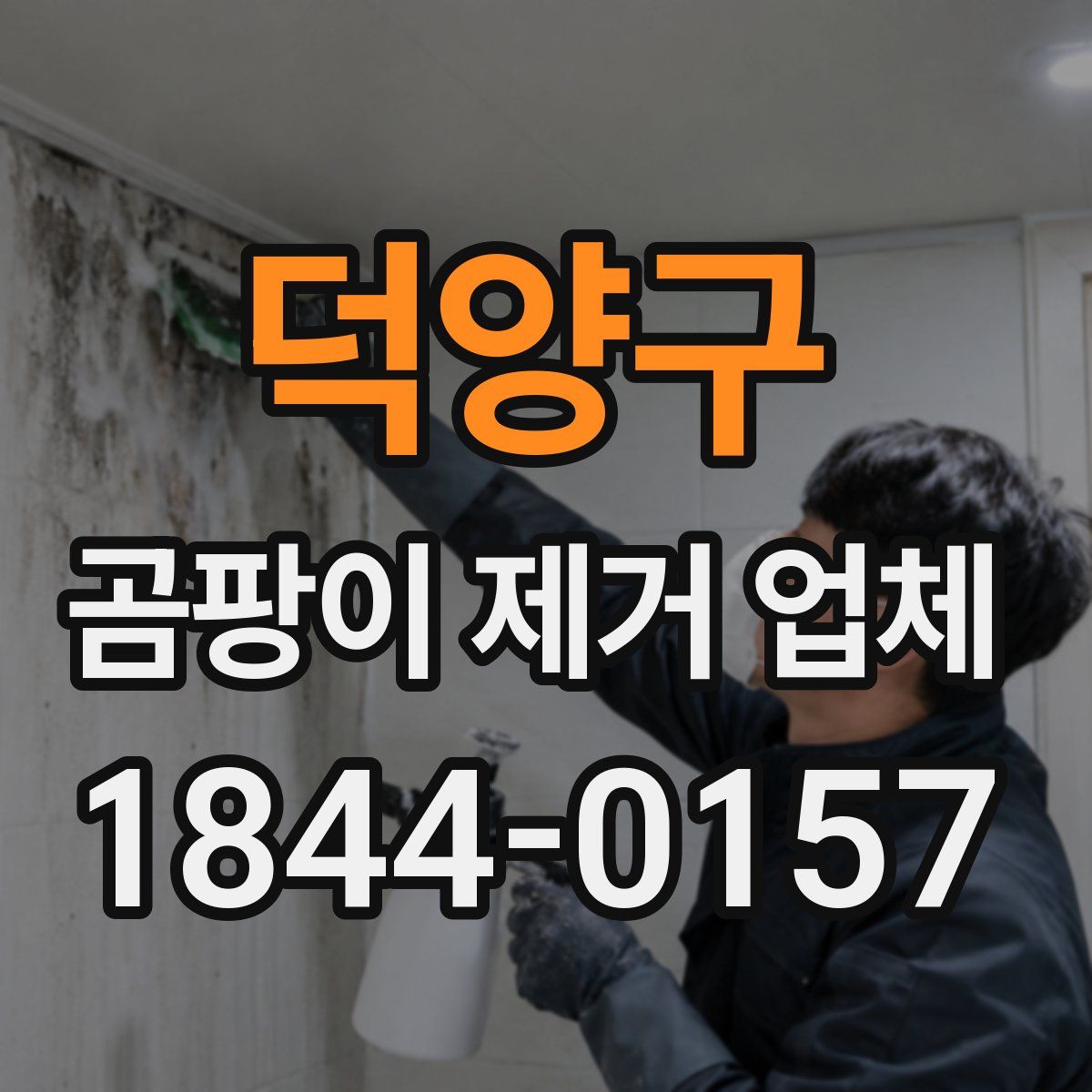 덕양구 곰팡이 제거 업체