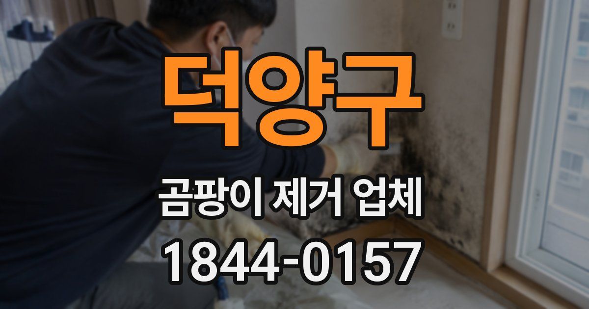 덕양구 곰팡이 제거 업체