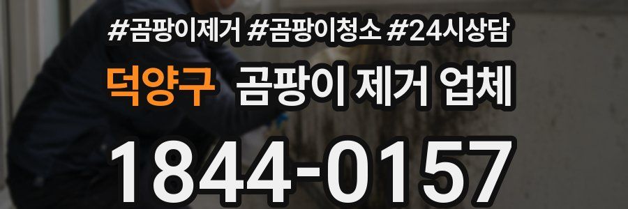 덕양구 곰팡이 제거 업체