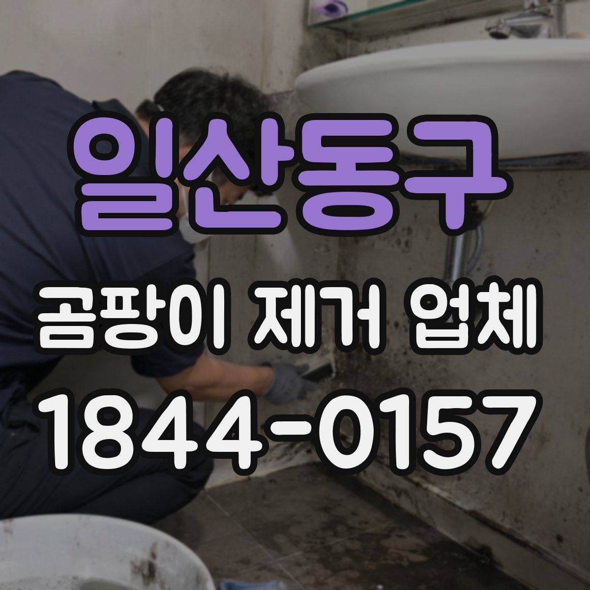 일산동구 곰팡이 제거 업체