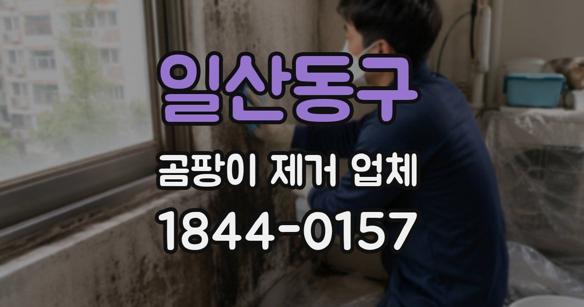 일산동구 곰팡이 제거 업체