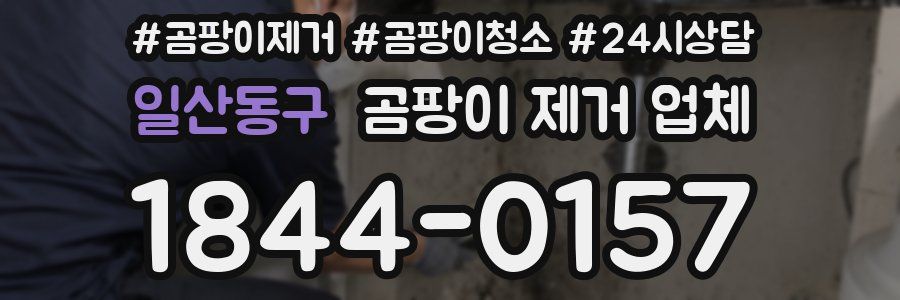 일산동구 곰팡이 제거 업체
