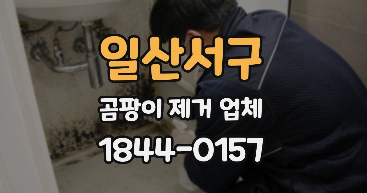 일산서구 곰팡이 제거 업체