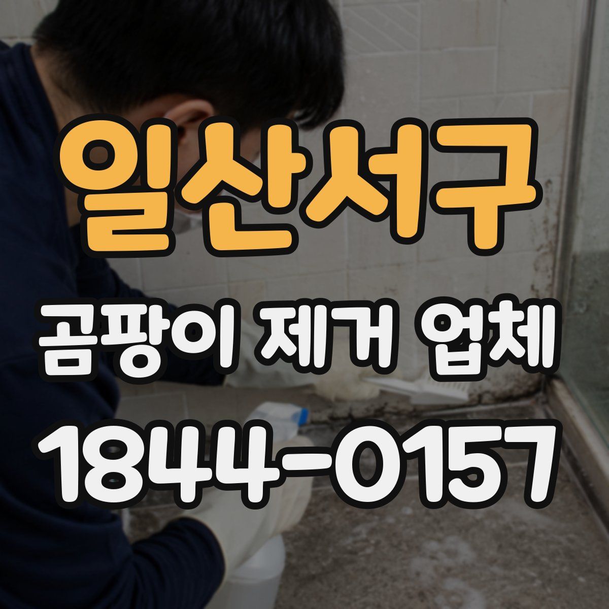 일산서구 곰팡이 제거 업체