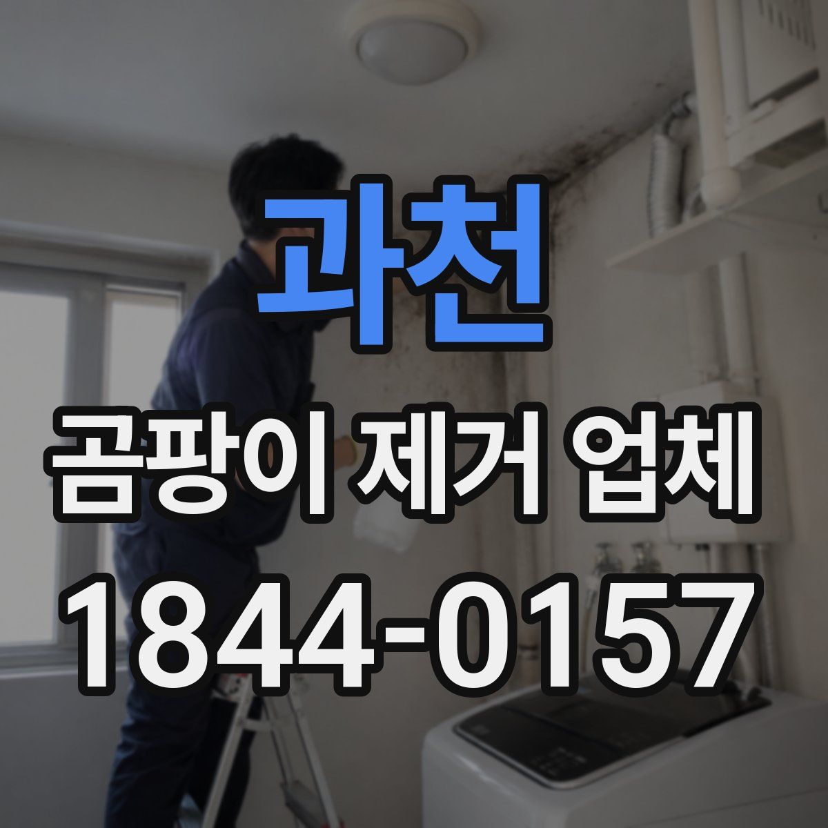 과천 곰팡이 제거 업체