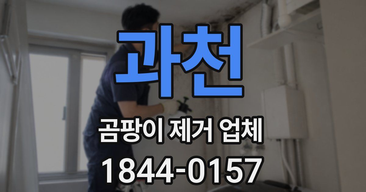 과천 곰팡이 제거 업체