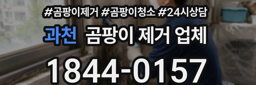 과천 곰팡이 제거 업체