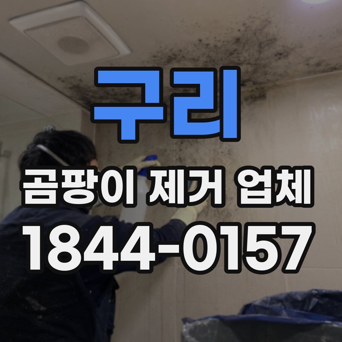 구리 곰팡이 제거 업체 표면 곰팡이와 내부 오염을 나눠 보는 이유