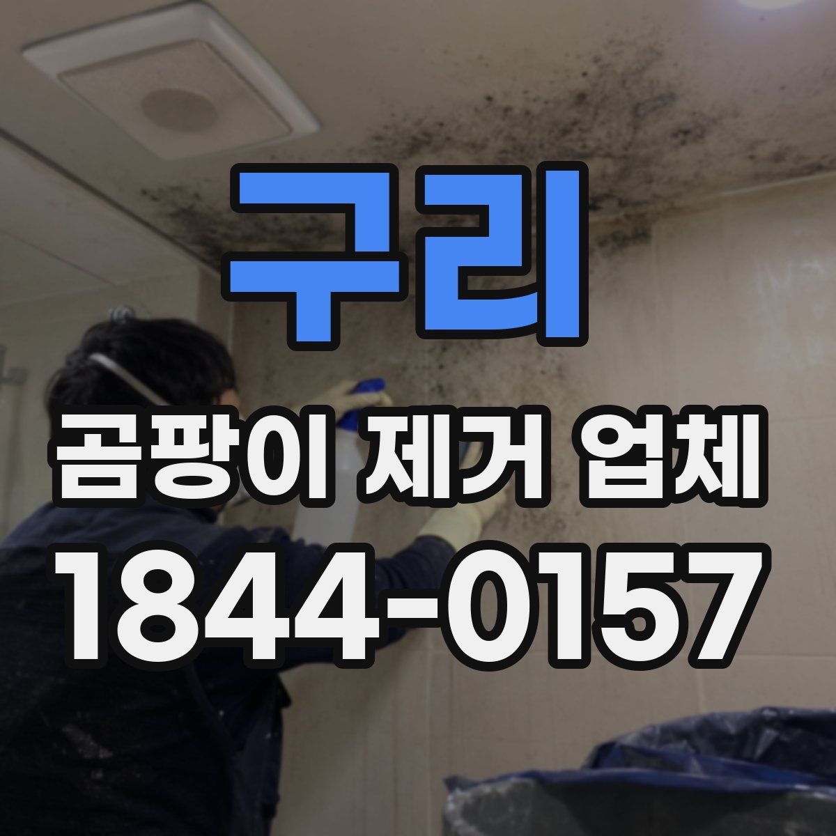 구리 곰팡이 제거 업체