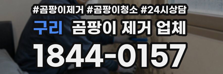 구리 곰팡이 제거 업체