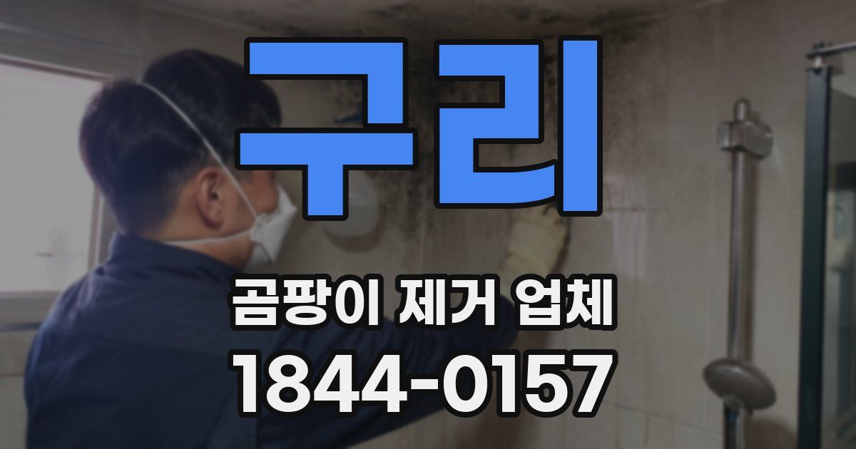 구리 곰팡이 제거 업체