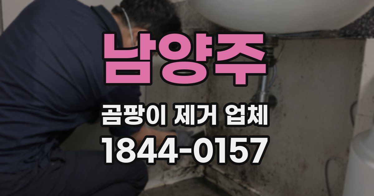 남양주 곰팡이 제거 업체