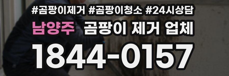 남양주 곰팡이 제거 업체