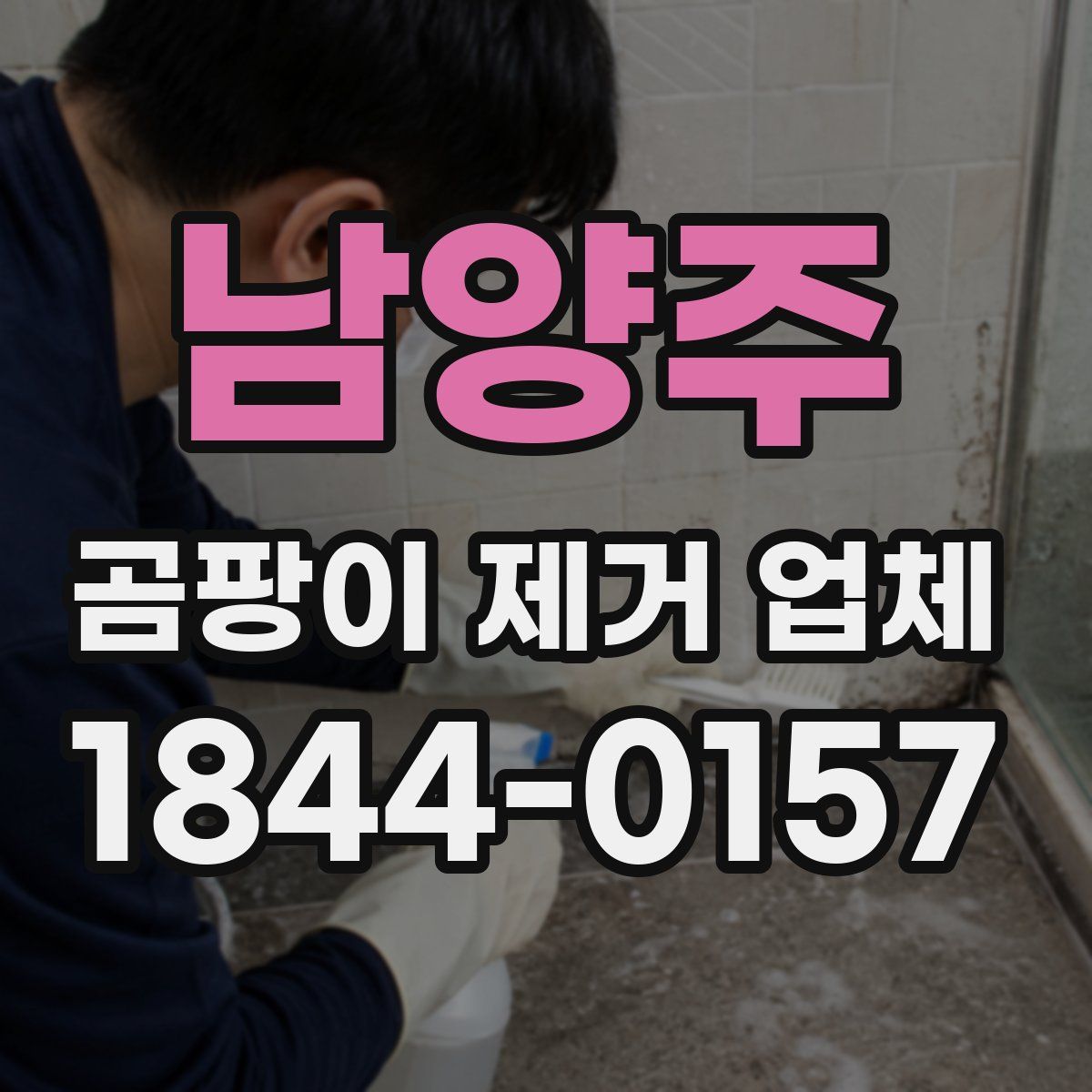 남양주 곰팡이 제거 업체