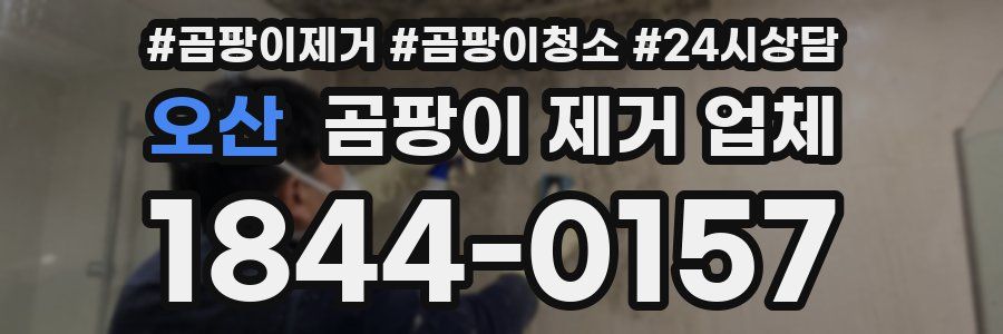 오산 곰팡이 제거 업체