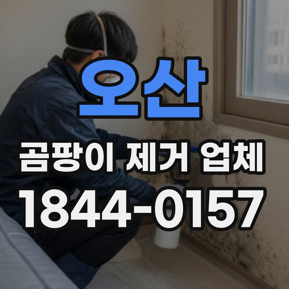 오산 곰팡이 제거 업체