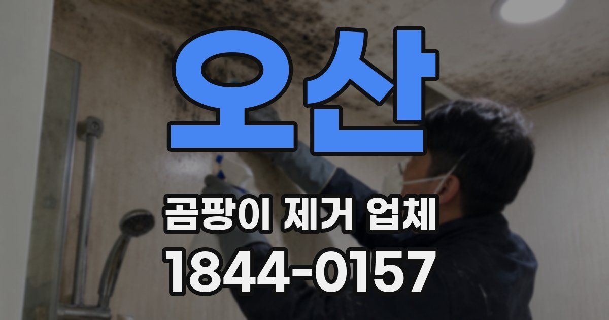 오산 곰팡이 제거 업체